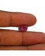 Ruby - 4.86 Carat 