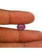 Ruby - 4.08 Carat 