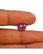 Ruby - 4.5 Carat 