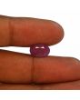Ruby - 5.29 Carat 