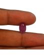 Ruby - 5.29 Carat 