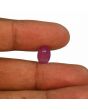 Ruby - 4.09 Carat 