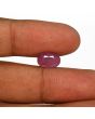 Ruby - 3.96 Carat 