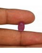 Ruby - 3.96 Carat 
