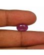 Ruby - 5.64 Carat 