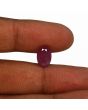 Ruby - 4.7 Carat 