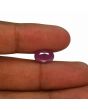 Ruby - 4.7 Carat 