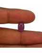 Ruby - 4.7 Carat 