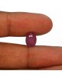 Ruby - 4.28 Carat 