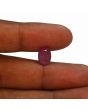 Ruby - 3.85 Carat 