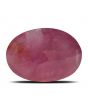 Ruby - 3.79 Carat 