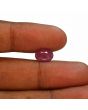 Ruby - 3.79 Carat 