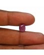 Ruby - 3.79 Carat 