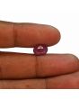 Ruby - 3.88 Carat 