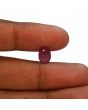 Ruby - 3.88 Carat 