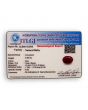 Ruby - 3.88 Carat 