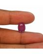 Ruby - 6.91 Carat 