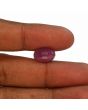 Ruby - 7.76 Carat 