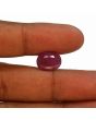 Ruby - 10.01 Carat 