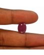 Ruby - 10.01 Carat 