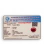 Ruby - 10.01 Carat 