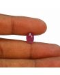 Ruby - 3.49 Carat 
