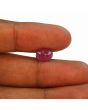 Ruby - 3.49 Carat 