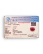 Ruby - 3.49 Carat 