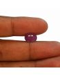 Ruby - 5.3 Carat 