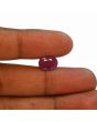 Ruby - 6.16 Carat 