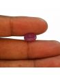 Ruby - 3.88 Carat 
