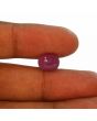 Ruby - 5.34 Carat 