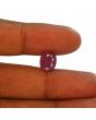 Ruby - 7.06 Carat 