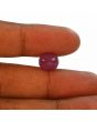Ruby - 7.06 Carat 