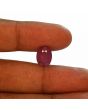 Ruby - 6.28 Carat 