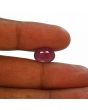 Ruby - 7.52 Carat 