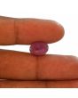 Ruby - 7.52 Carat 