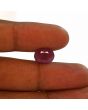 Ruby - 5.78 Carat 