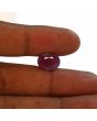 Ruby - 8.62 Carat 