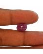 Ruby - 8.62 Carat 