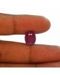 Ruby - 8.62 Carat 