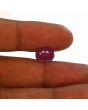 Ruby - 5.38 Carat 