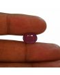 Ruby - 5.62 Carat 