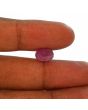 Ruby - 3.92 Carat 