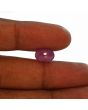 Ruby - 4.23 Carat 