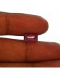 Ruby - 3.62 Carat 