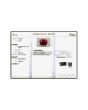 Burmese Ruby (Heated) Cts 3.81 