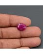 Burmese Ruby (Heated) Cts 7.52 