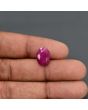 Burmese Ruby (Heated) Cts 7.52 