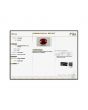 Burmese Ruby (Heated) Cts 4.81 